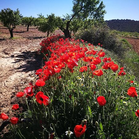 Cortijo Los Soledad El Sauco Extérieur photo