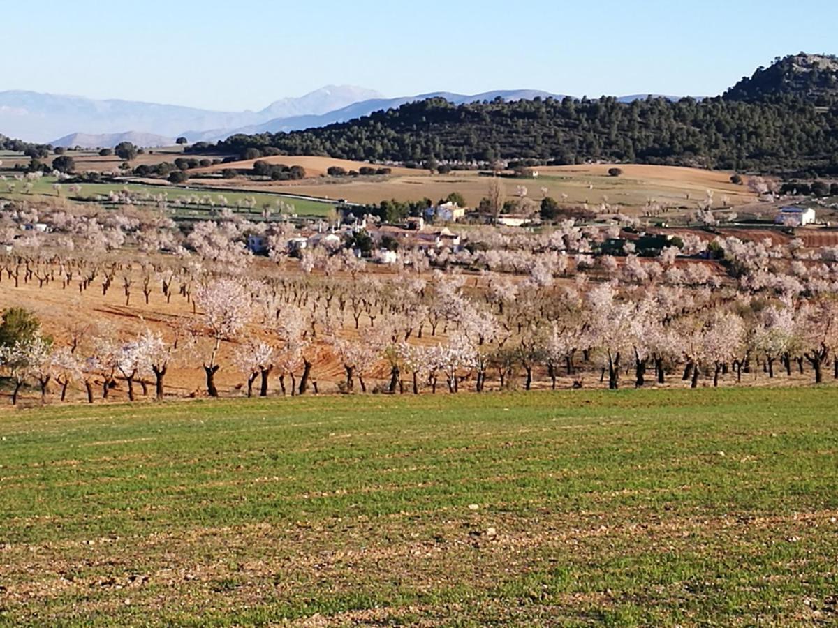 Cortijo Los Soledad El Sauco Extérieur photo