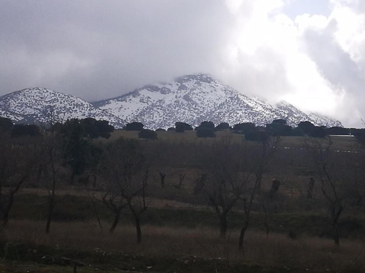 Cortijo Los Soledad El Sauco Extérieur photo