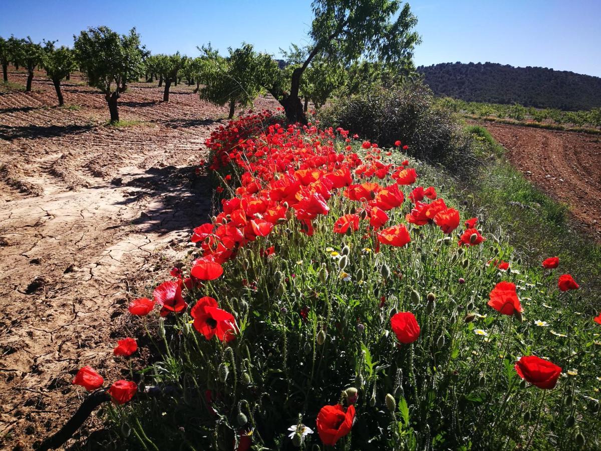 Cortijo Los Soledad El Sauco Extérieur photo