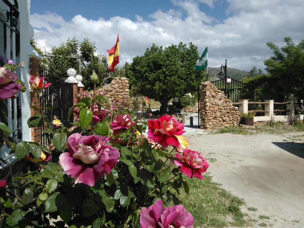 Cortijo Los Soledad El Sauco Extérieur photo