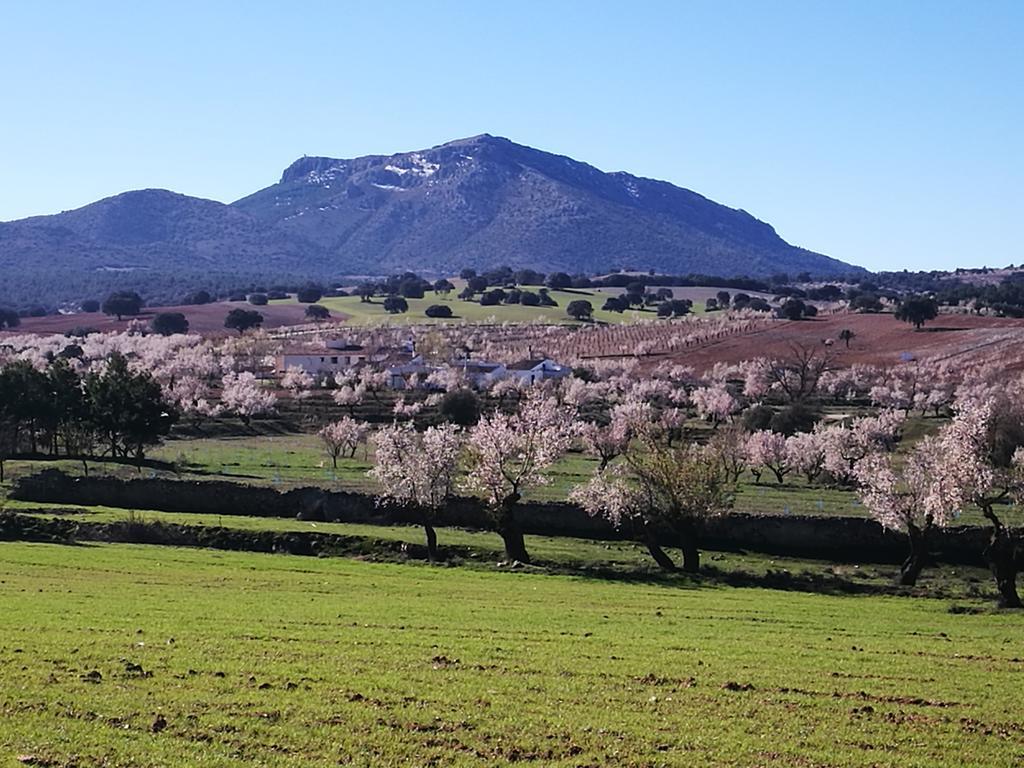 Cortijo Los Soledad El Sauco Extérieur photo